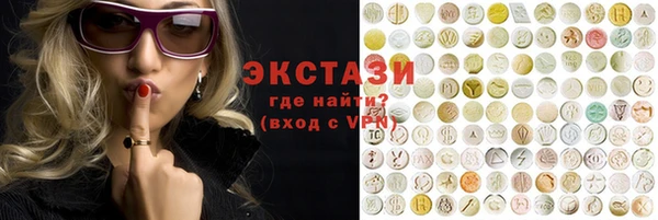 молекула духа Вяземский
