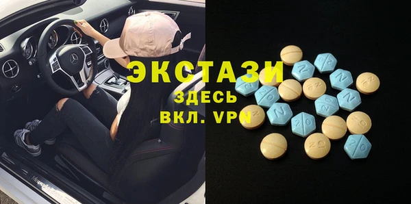 молекула духа Вяземский
