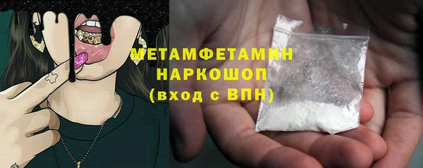 молекула духа Вяземский