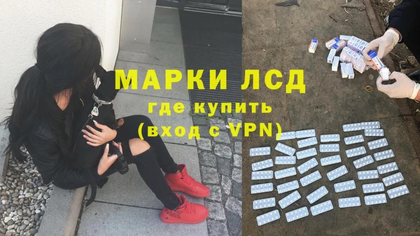 молекула духа Вяземский