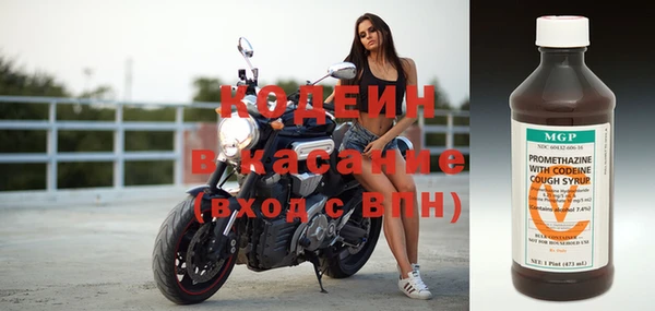 молекула духа Вяземский