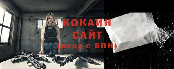 молекула духа Вяземский