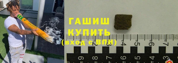 молекула духа Вяземский