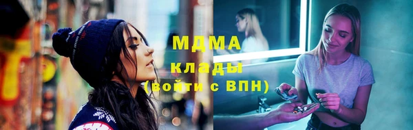 молекула духа Вяземский