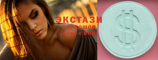 молекула духа Вяземский