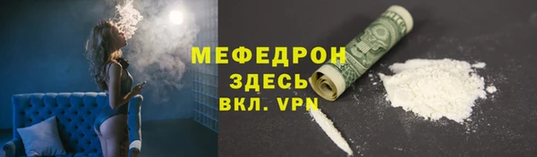 молекула духа Вяземский
