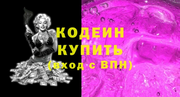 молекула духа Вяземский