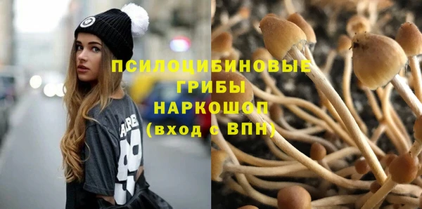 2c-b Вязьма