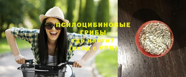 молекула духа Вяземский