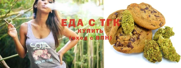 молекула духа Вяземский