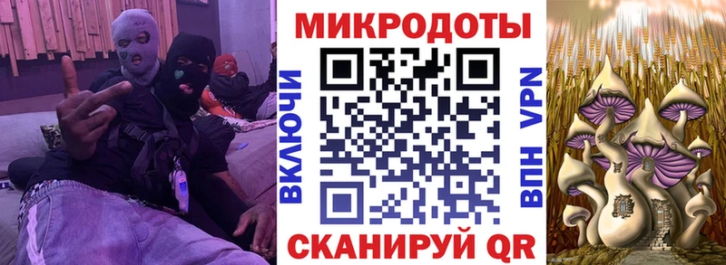 нарко площадка какой сайт  Ессентуки  Галлюциногенные грибы GOLDEN TEACHER  OMG онион 