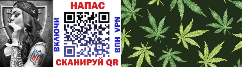 Шишки марихуана OG Kush  где найти   Ессентуки 